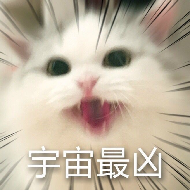 【无尽战记】喵的情报站-拯救世界的竟然是魔法师